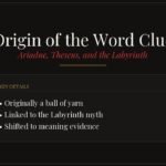 The True Origin of the Word Dunce Explained - Word origins and historical etymology guide
