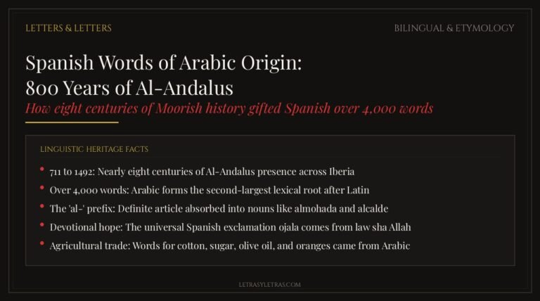 Bilingual etymology guide showing Spanish words of Arabic origin and Al-Andalus history