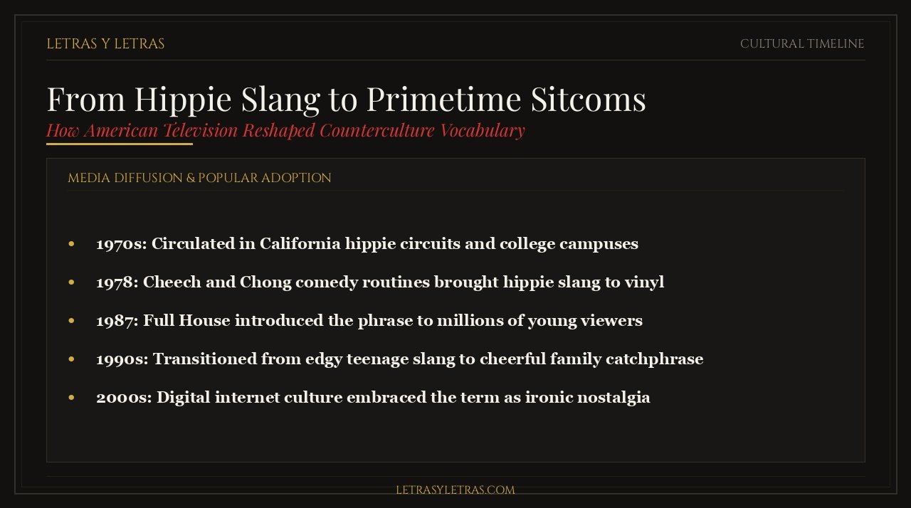 From Hippie Slang to Primetime Sitcoms