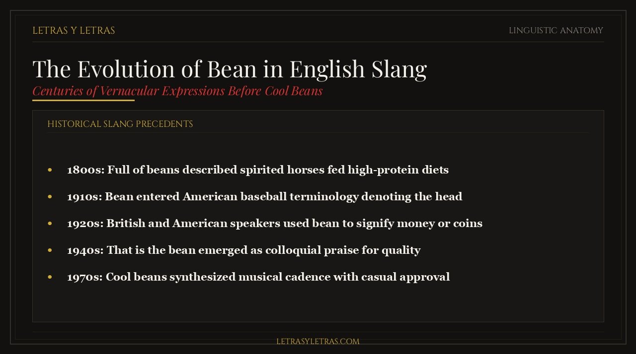 The Evolution of Bean in English Slang